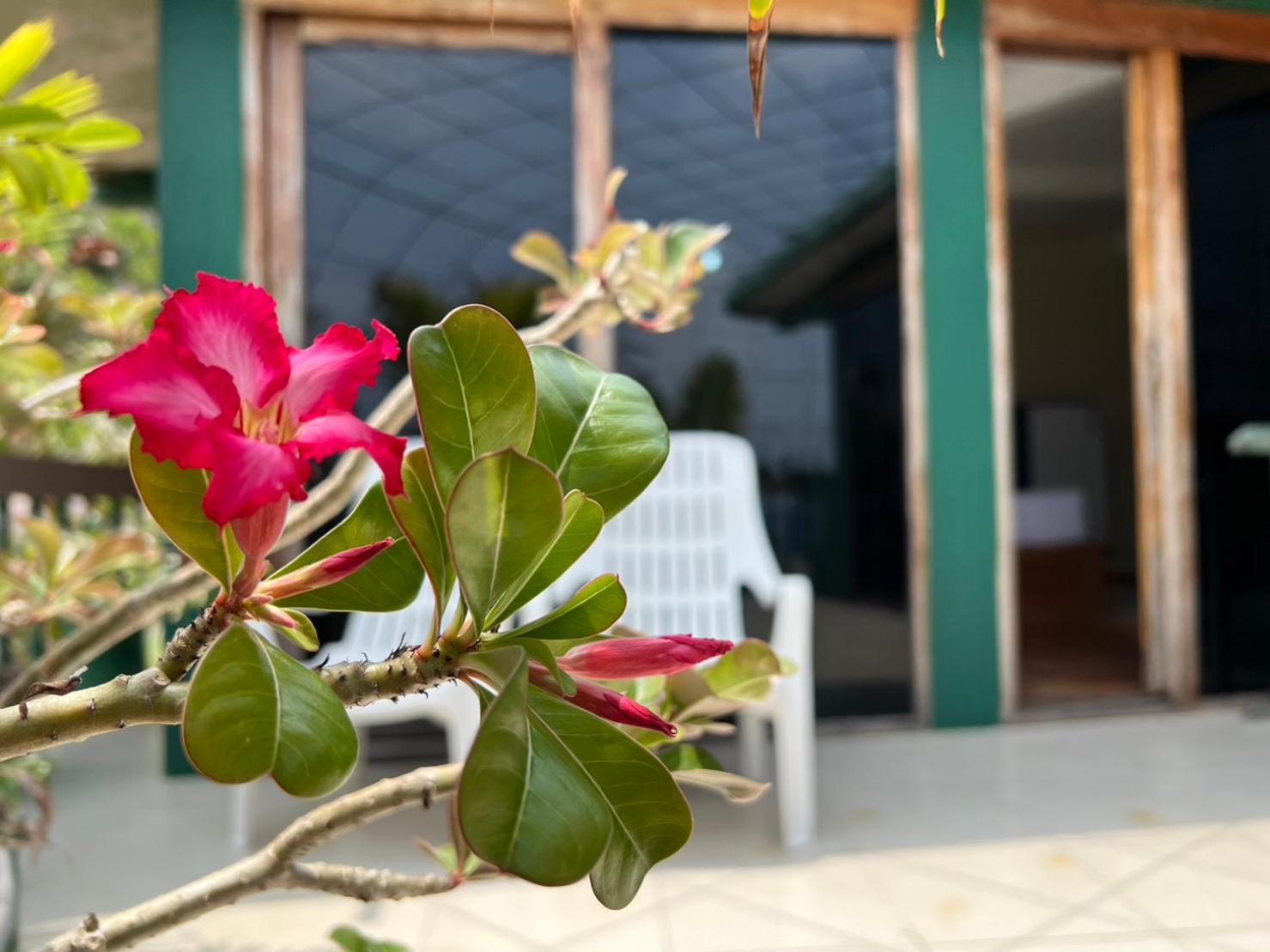 Hin Wong Apartments Dive & Snorkel Resort Ko Tao Ngoại thất bức ảnh